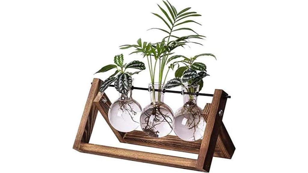 retro wooden plant propagation