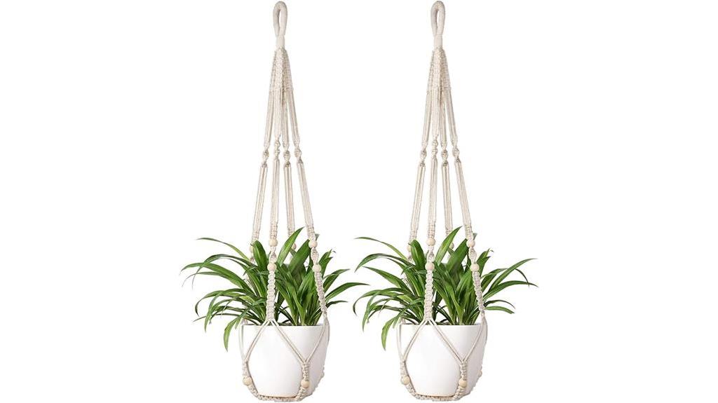 boho chic plant decor