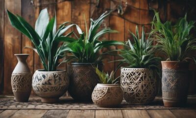 boho indoor plants selection