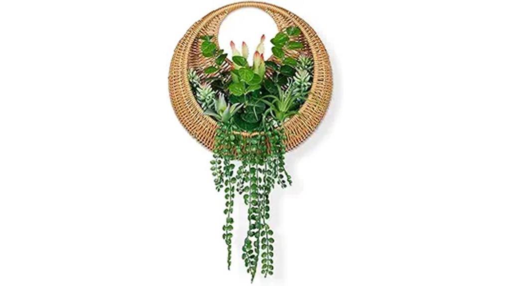 boho wall decor succulent