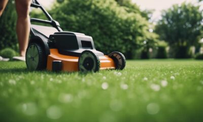 effortless yard maintenance solutions