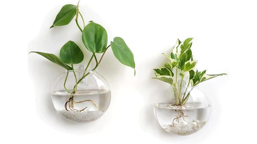 glass terrariums for plants