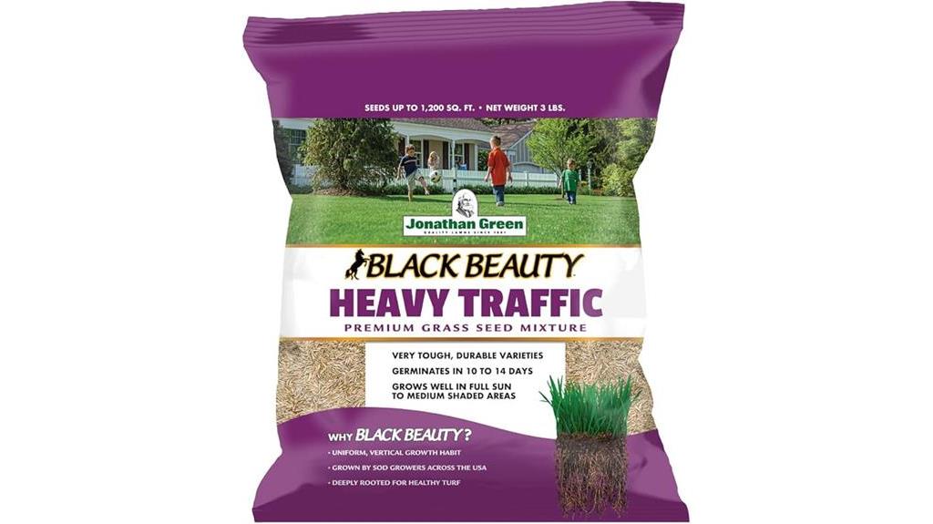 high traffic grass seed blend