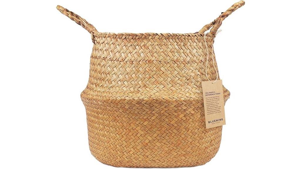 large indoor plant basket