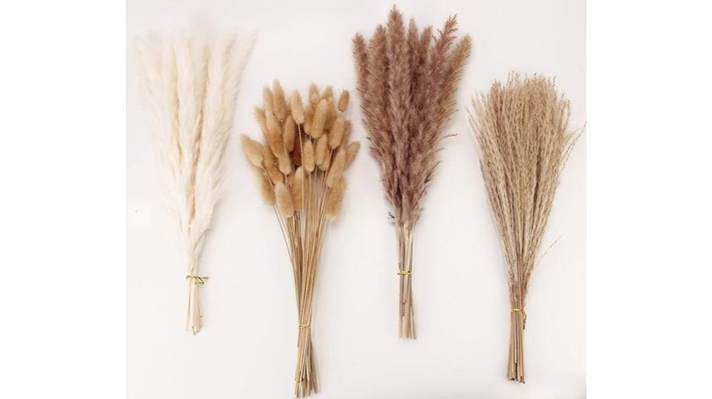 pampas grass and bunny tails