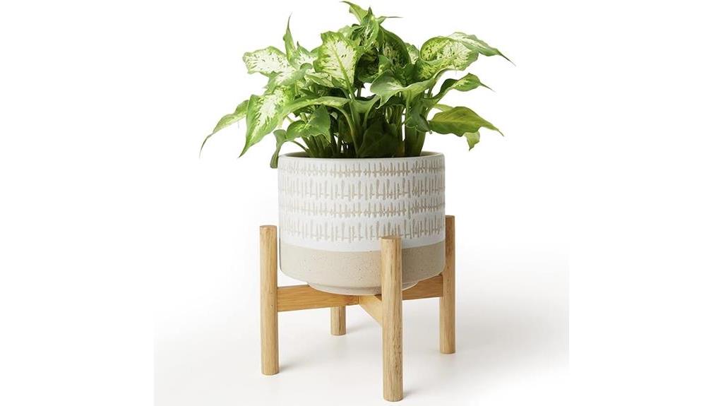 stylish ceramic plant pot