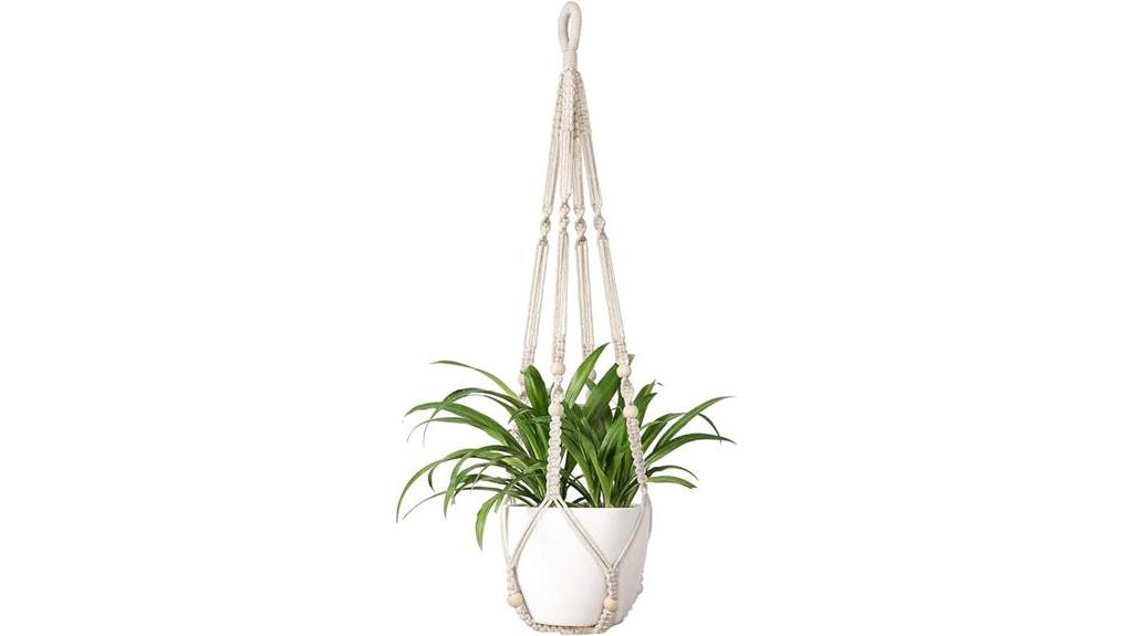 stylish indoor plant hanger