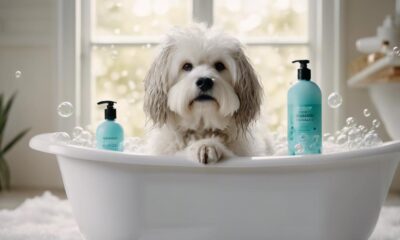 top dog shampoos list