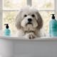 top dog shampoos list
