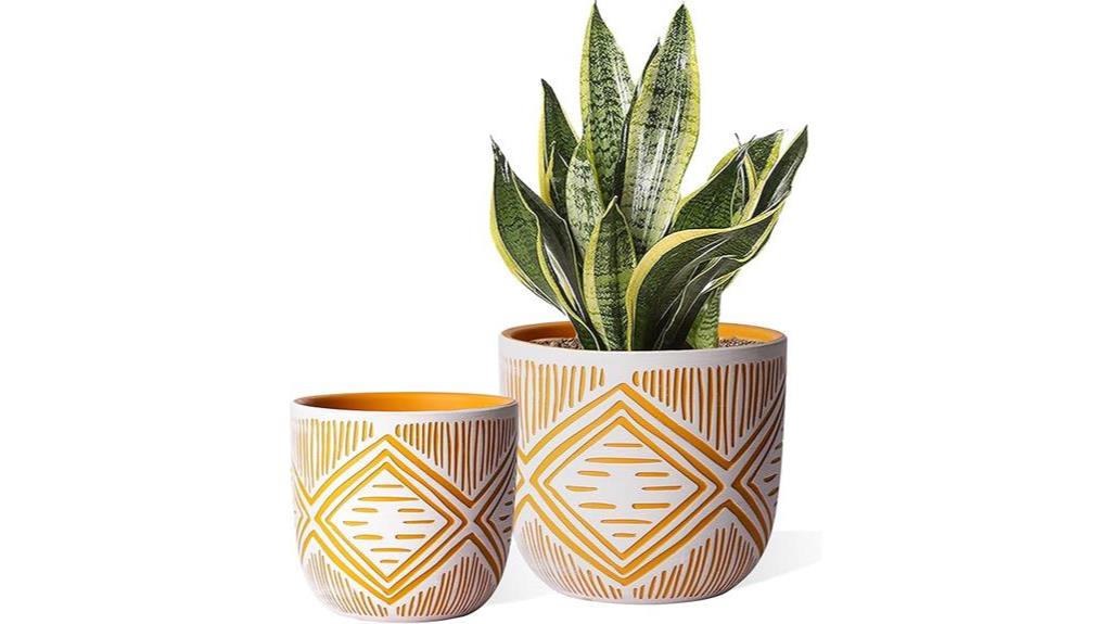 trendy terra cotta planters