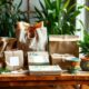 eco friendly boho packaging solutions