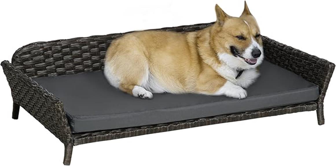 elevated rattan dog bed