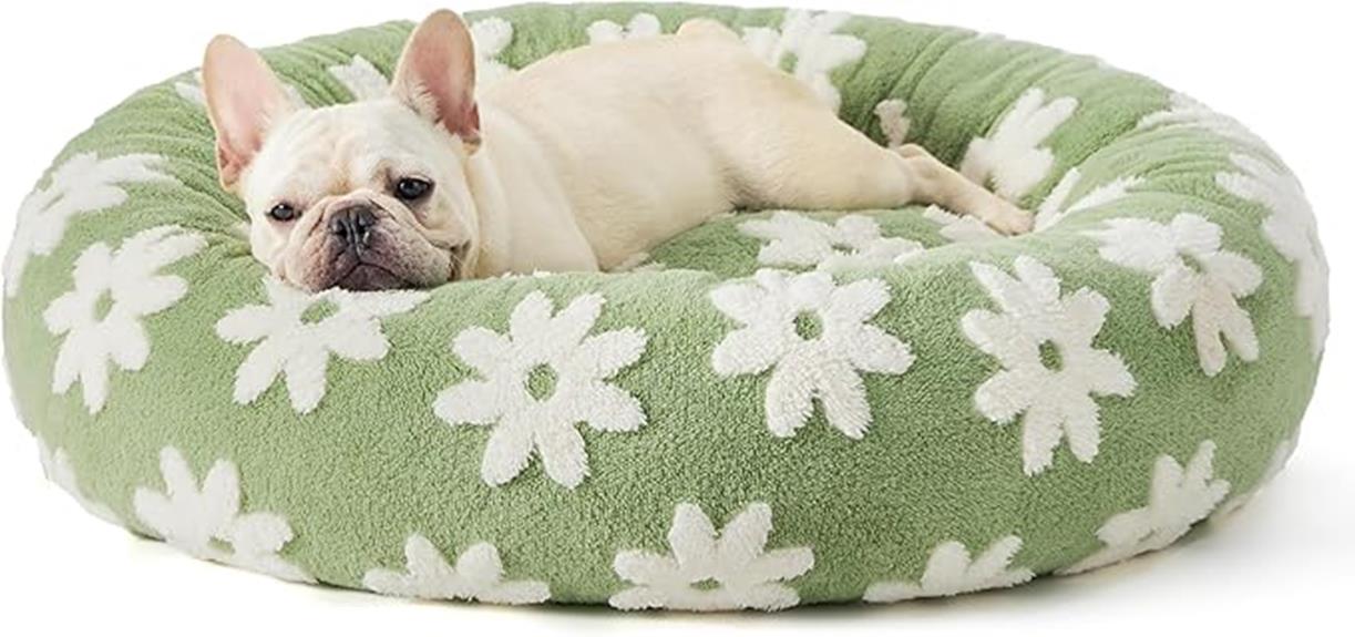 round small dog bed