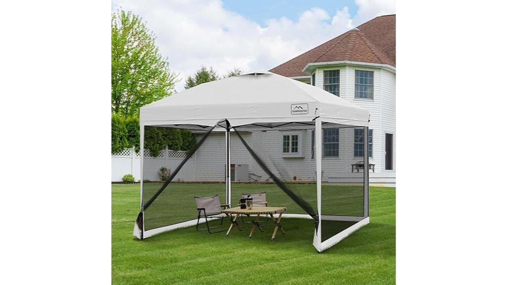 10x10 mosquito canopy