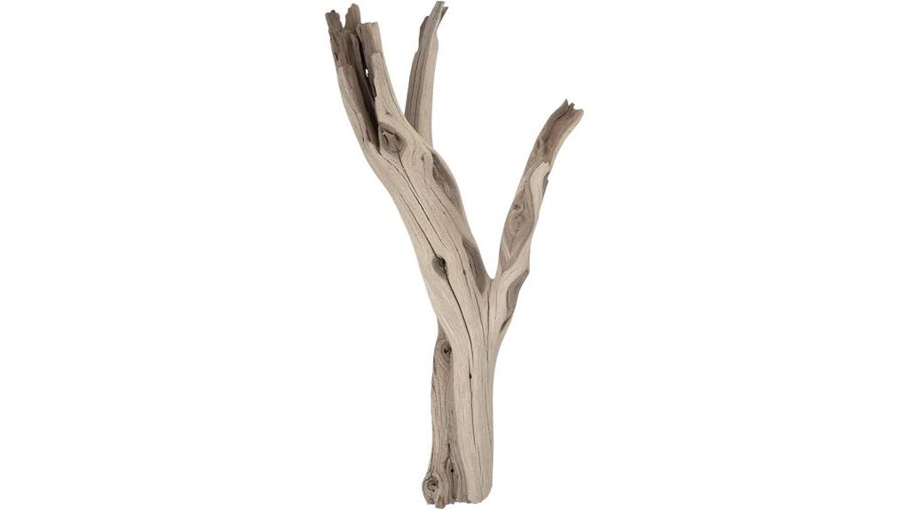 driftwood terrarium decor