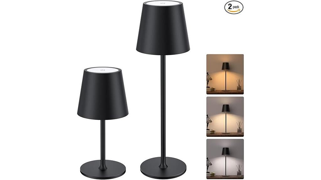 portable dual rechargeable lamps