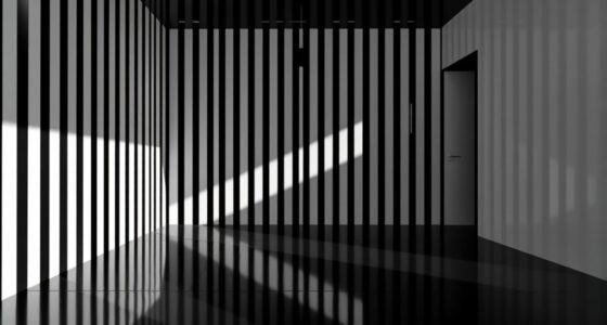 bold black and white stripes