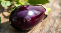 deep purple eggplant shades