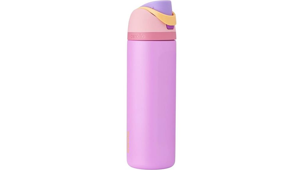 disney princess insulated water bottle