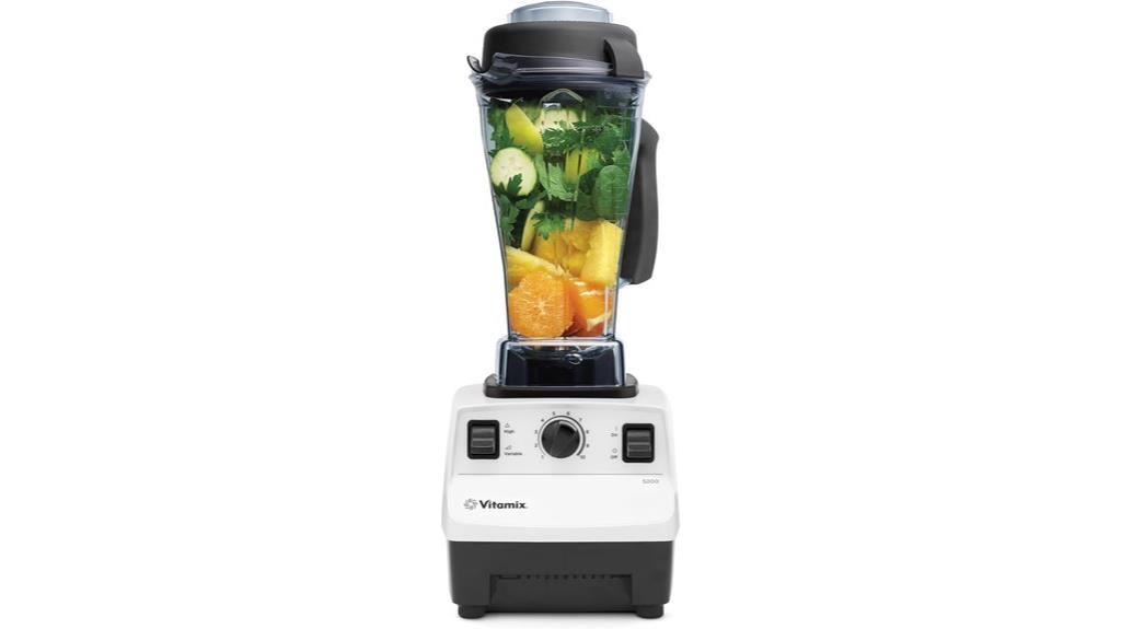 professional grade blender vitamix