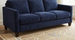 coordinate rug and sofa