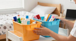 Best Dorm Room Organization Bins Compared