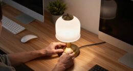 13 Best Decorative Desk Lamps in 2026