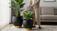 Luxury Indoor Planters: A Labor Day sales Guide