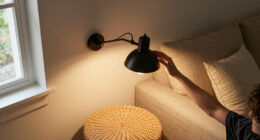 13 Best Wall Lamps in 2026