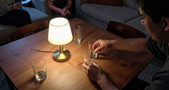 14 Best Entertaining Space Lighting Options for 2027