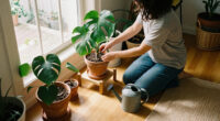 Curated Finds For Anka — Plant Stand